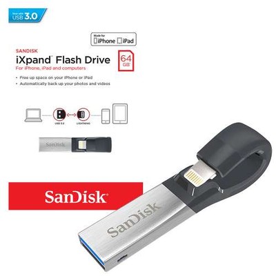 sandisk